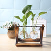 NatureDesk Glass and Wood Planter