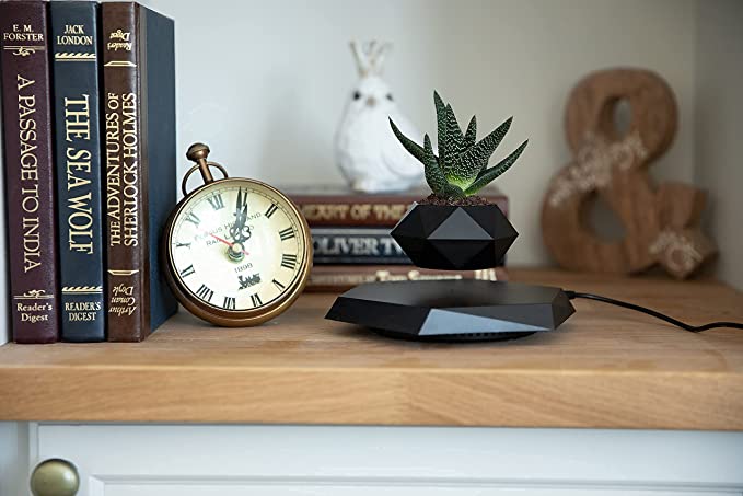 AirGarden Levitating Magnetic Flower Pot