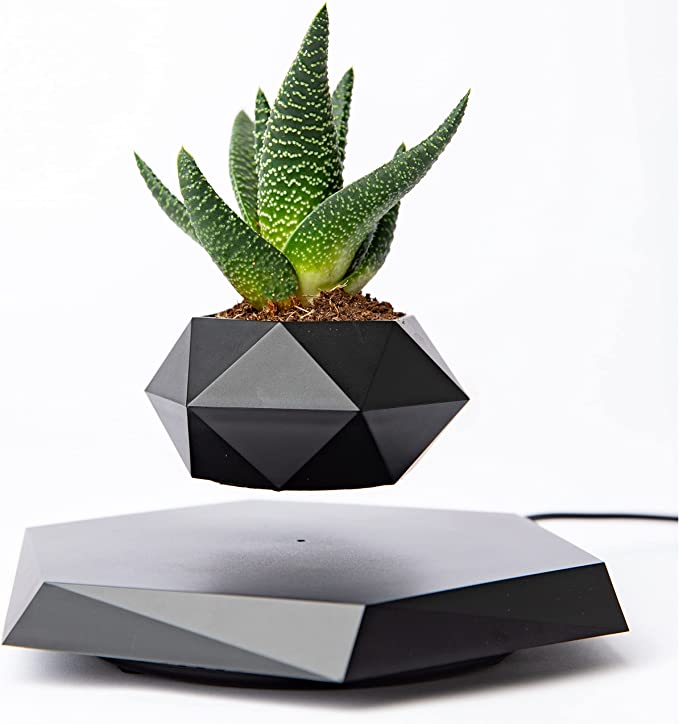 AirGarden Levitating Magnetic Flower Pot