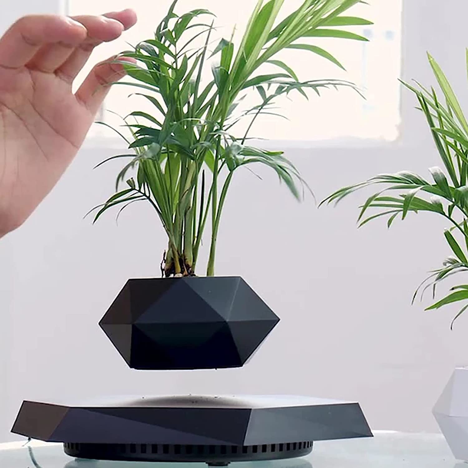 AirGarden Levitating Magnetic Flower Pot