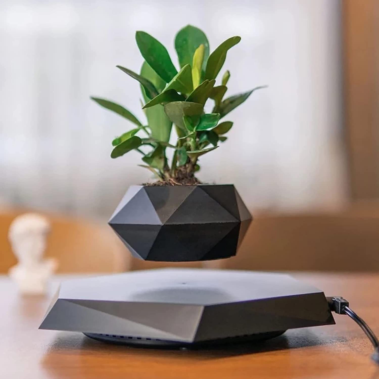 AirGarden Levitating Magnetic Flower Pot